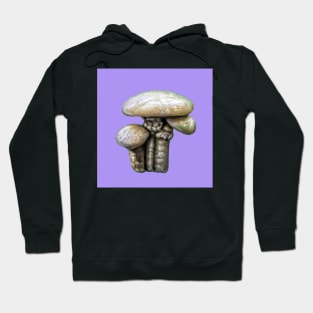 SHROOMTIME AGAIN Hoodie